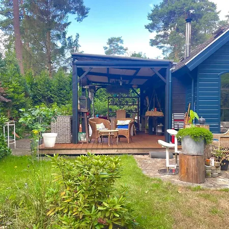 Blue Artist Veluwe Doornspijk