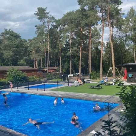 Blue Artist Veluwe *