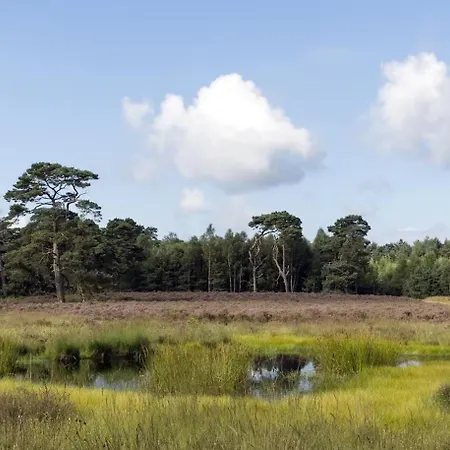 Blue Artist Veluwe *