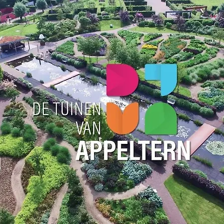 Blue Artist Veluwe Doornspijk