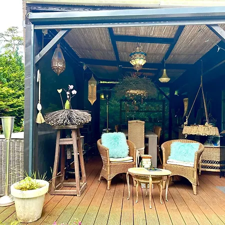 Alpehytte Blue Artist Veluwe Doornspijk