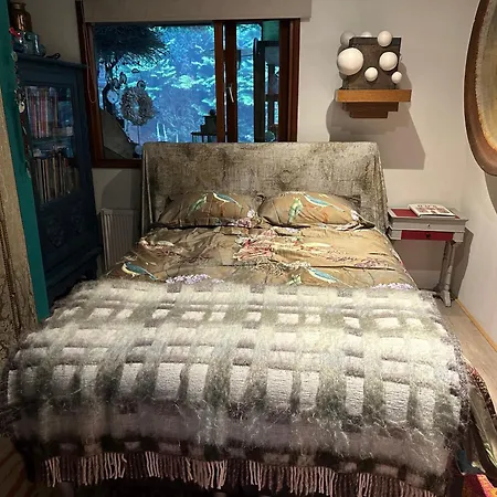 Blue Artist Veluwe Alpehytte