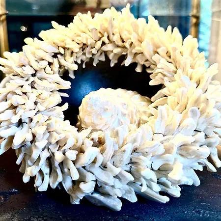 Blue Artist Veluwe Doornspijk