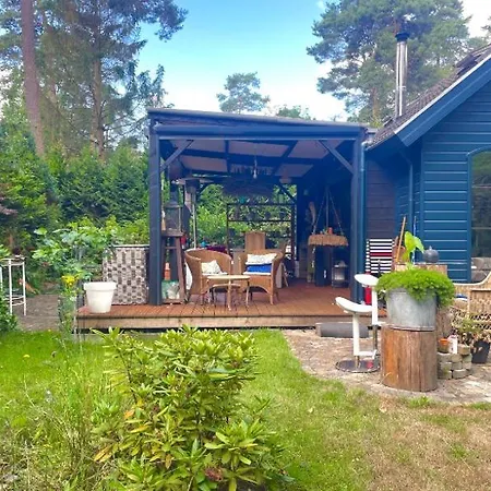 Blue Artist Veluwe Alpehytte Doornspijk