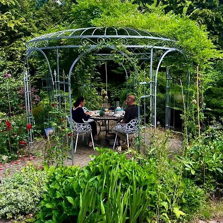 Blue Artist Veluwe Doornspijk