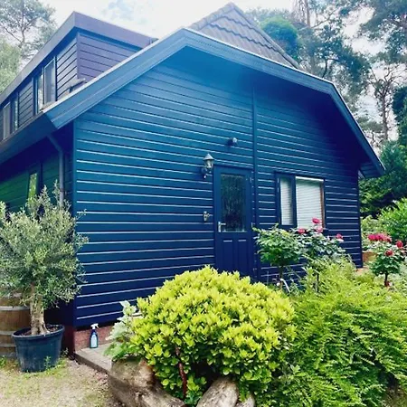 Blue Artist Veluwe Doornspijk