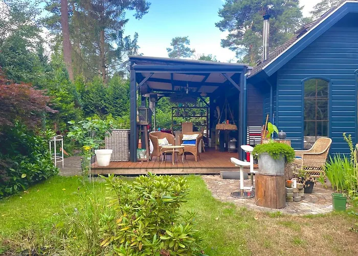 Blue Artist Veluwe Doornspijk