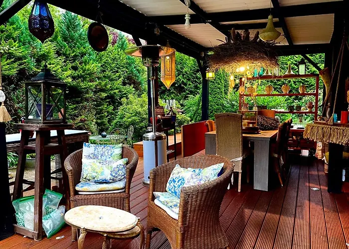 Blue Artist Veluwe *