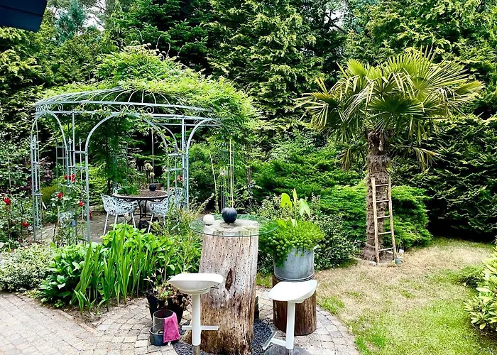 Blue Artist Veluwe *