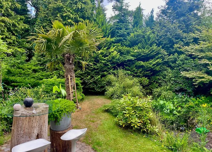 Blue Artist Veluwe Doornspijk