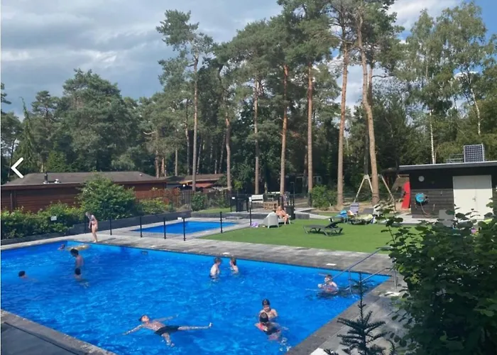 Blue Artist Veluwe *