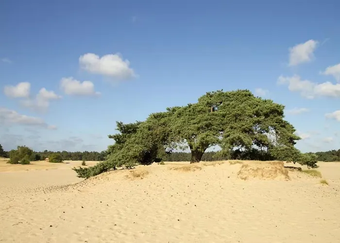 شاليه Blue Artist Veluwe Doornspijk