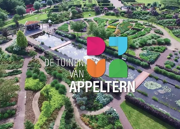 Blue Artist Veluwe Doornspijk