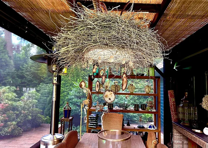 Blue Artist Veluwe * Doornspijk