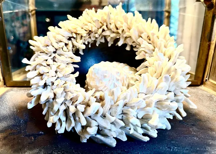 Blue Artist Veluwe Doornspijk