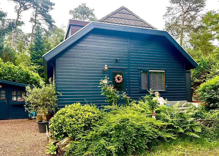 Blue Artist Veluwe شاليه Doornspijk