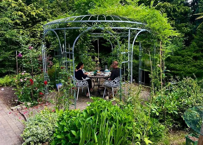 Blue Artist Veluwe Doornspijk