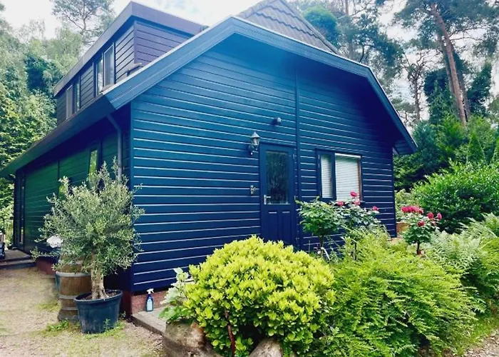 Blue Artist Veluwe Doornspijk