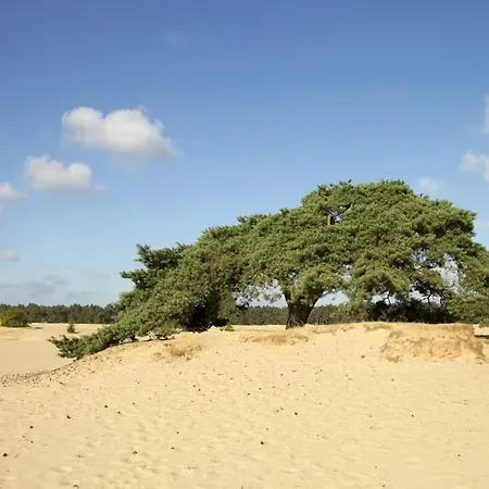 Horská chata Blue Artist Veluwe Doornspijk