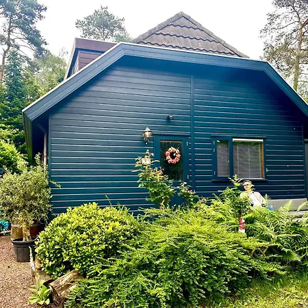 Blue Artist Veluwe Chalet Doornspijk